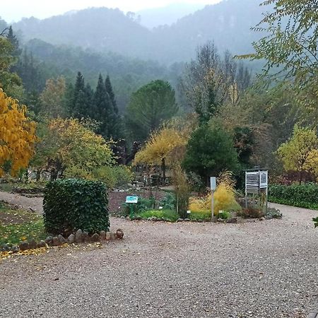Alojamientos Bellavista كوتو ريوس المظهر الخارجي الصورة